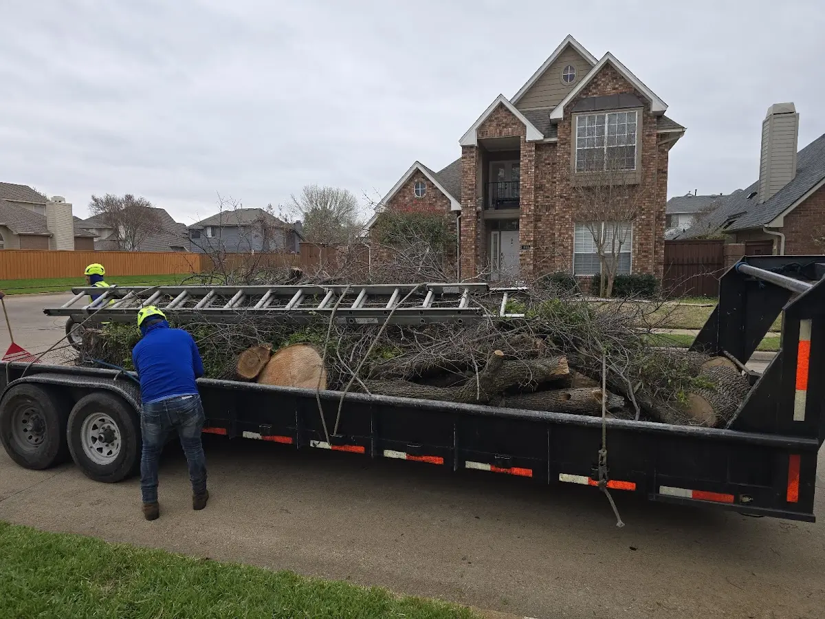 Expert Tree Fertilization with proper safety equipment in Flora